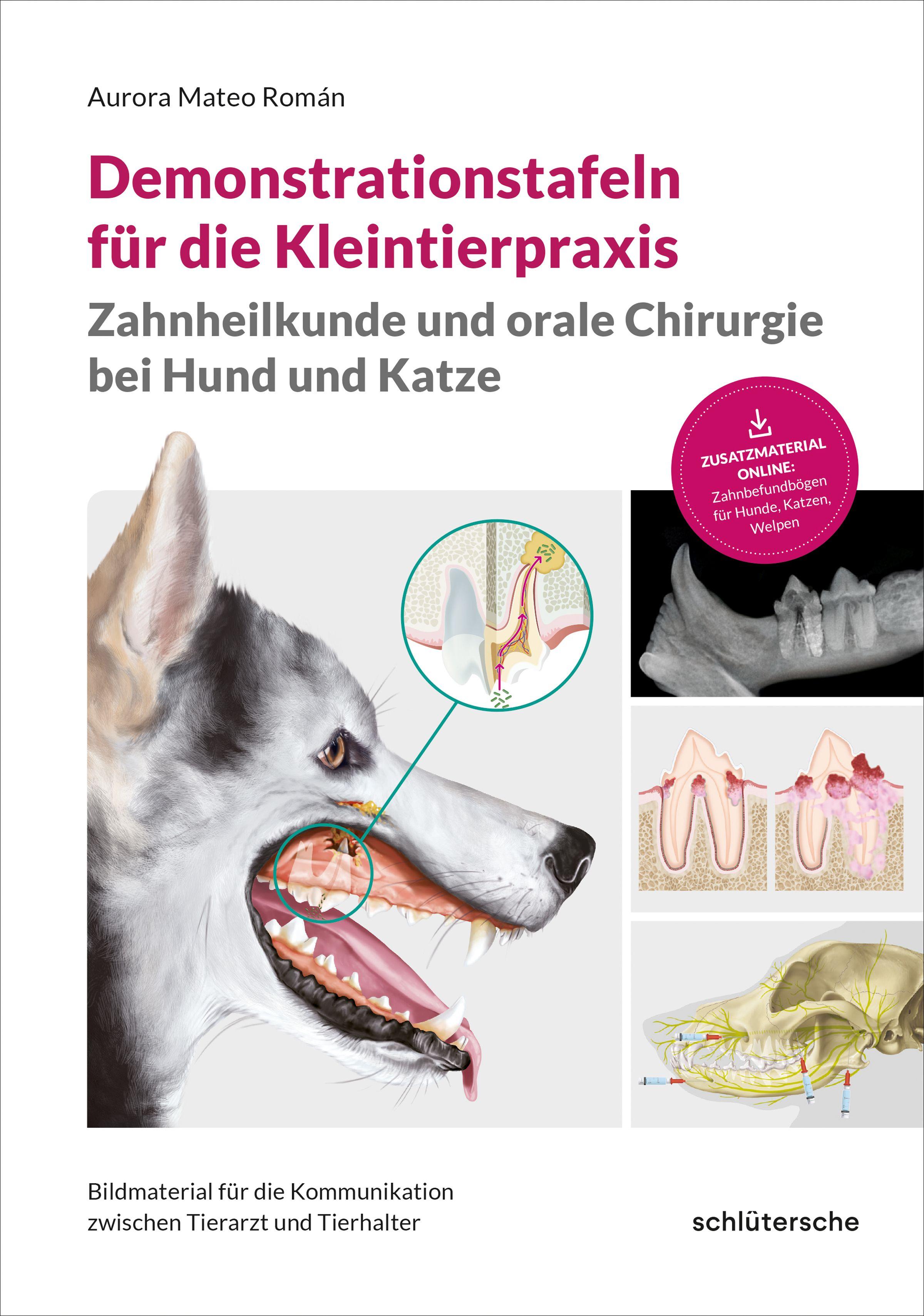 Vorderes Coverbild Demonstrationstafeln für die Kleintierpraxis, Zahnheilkunde und orale Chirurgie bei Hund und Katze
