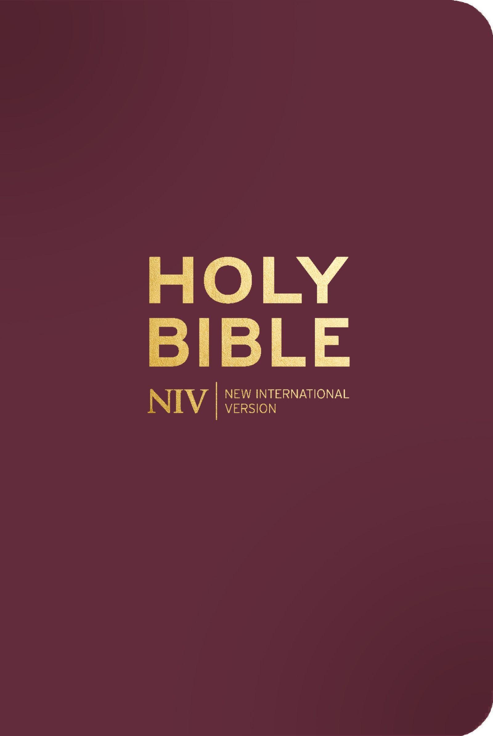 Vorderes Coverbild NIV Pocket Mulberry Bible with Gold Zip