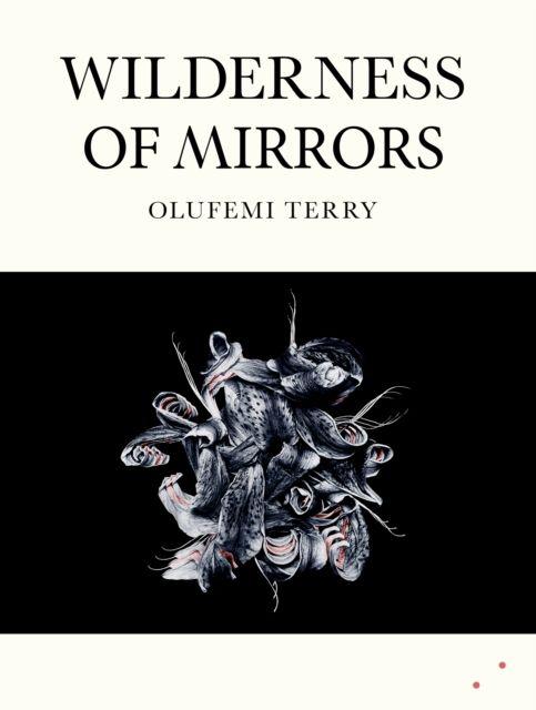 Vorderes Coverbild Wilderness of Mirrors