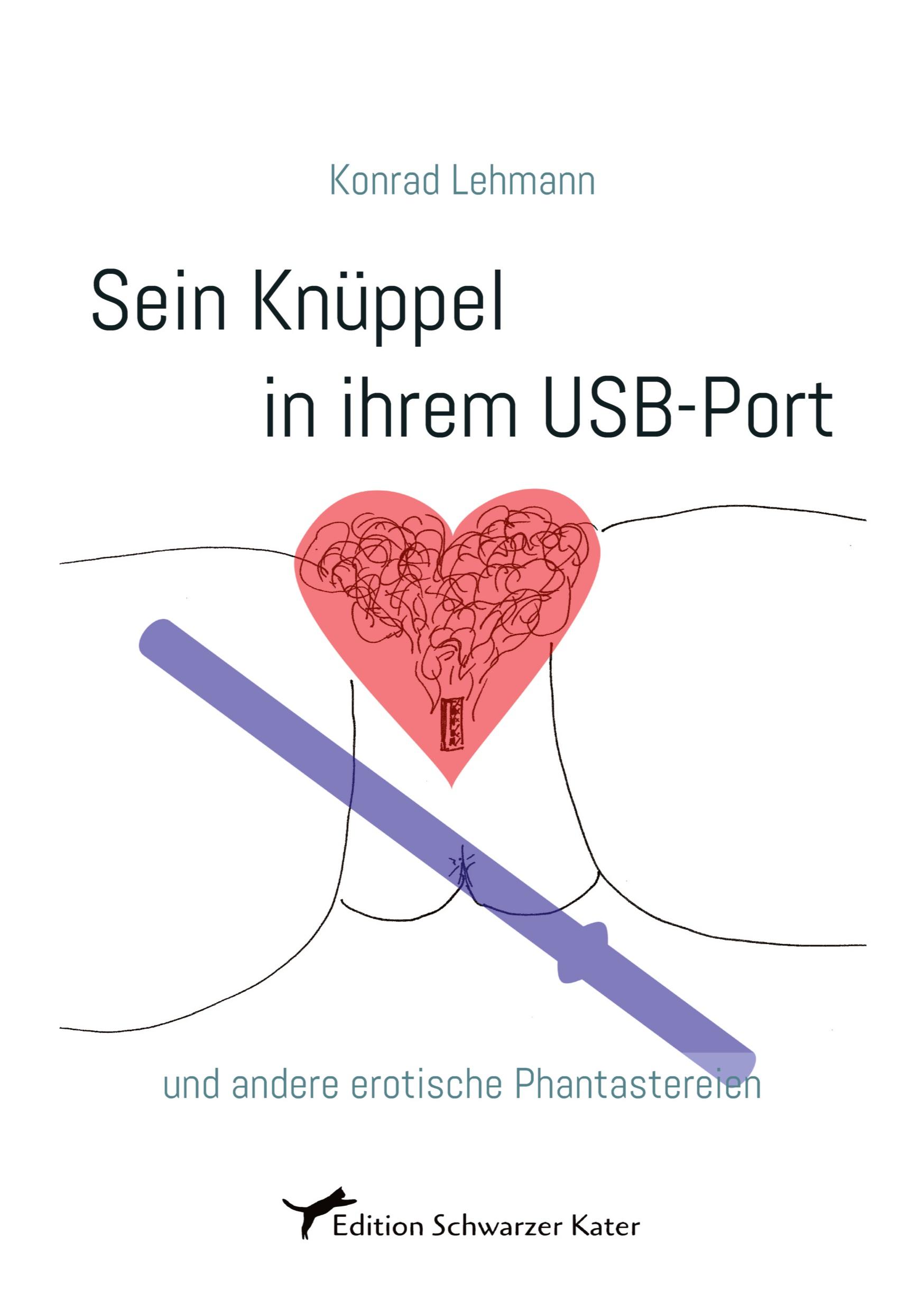 Vorderes Coverbild Sein Knüppel in ihrem USB-Port