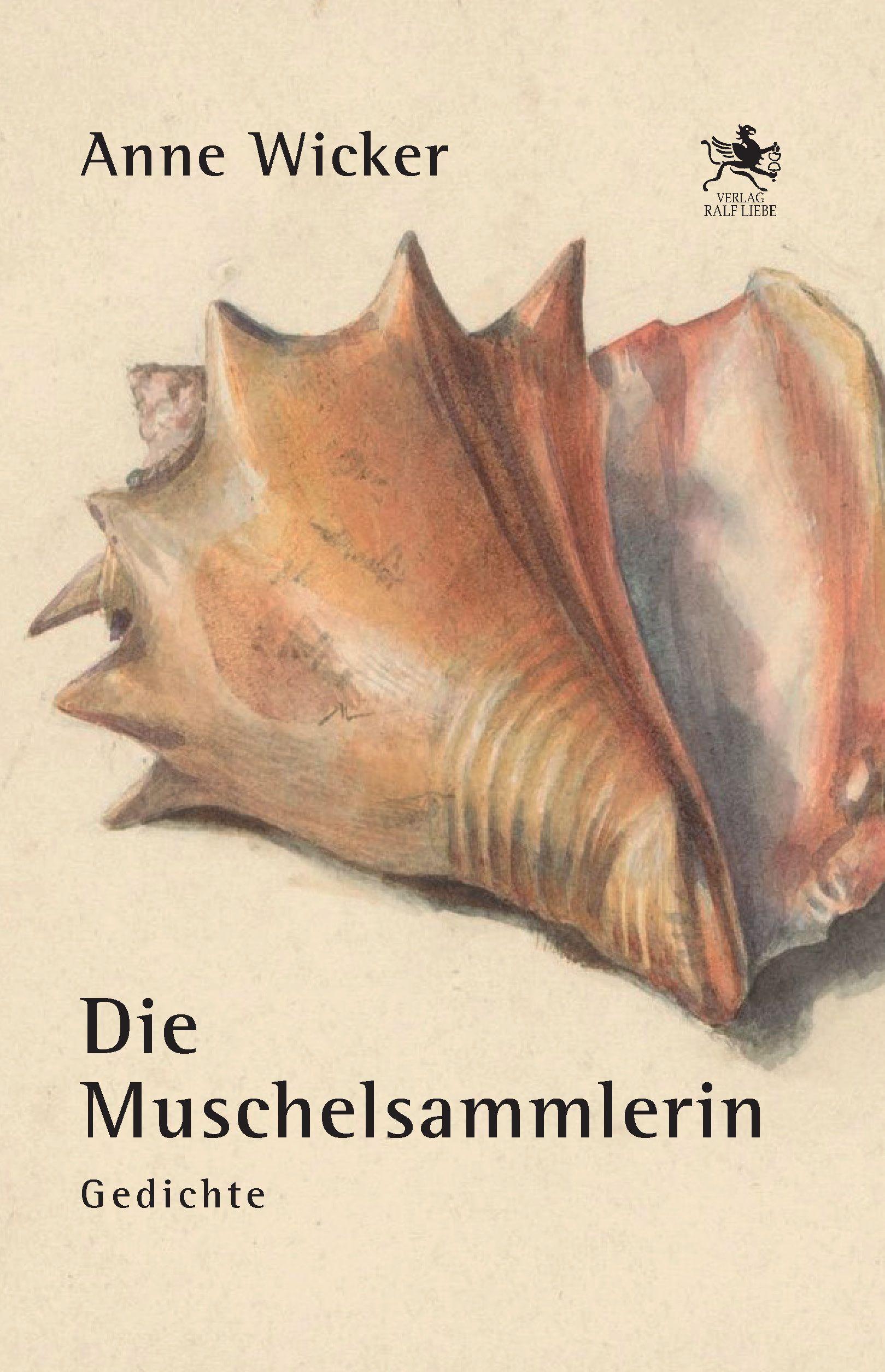 Vorderes Coverbild Die Muschelsammlerin