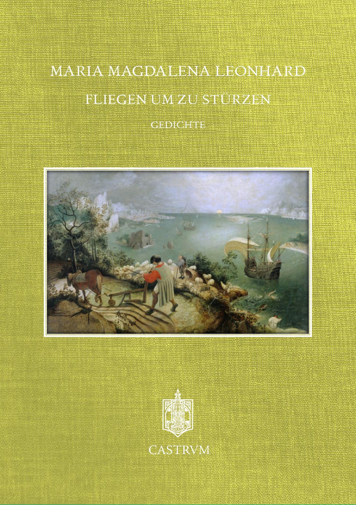 Vorderes Coverbild Fliegen um zu stürzen