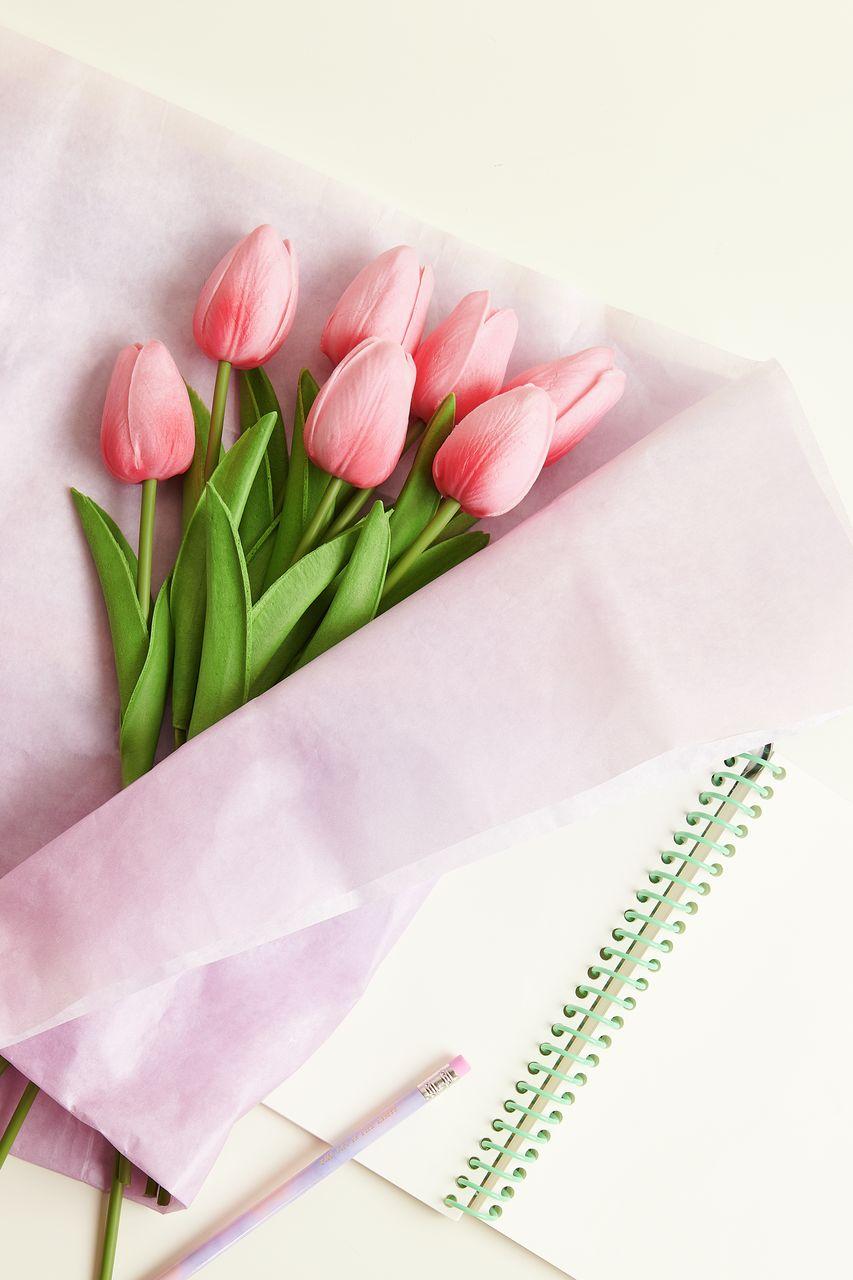 Vorderes Coverbild Tulpenstrauß Pink mit 7 Blüten 33,5cm