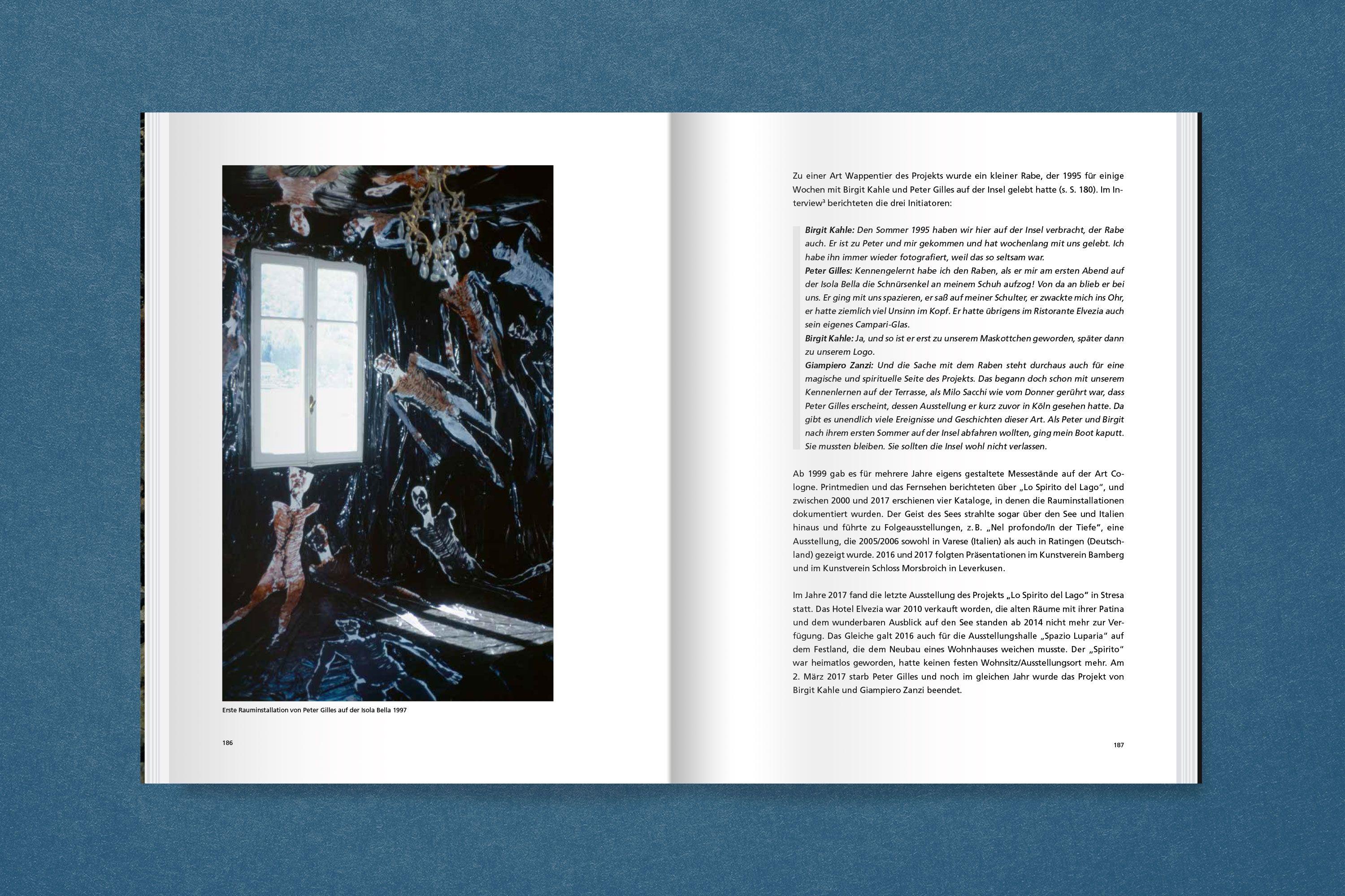 Beispielinhalt (Bild) Peter Gilles: Am Rande des Vulkans