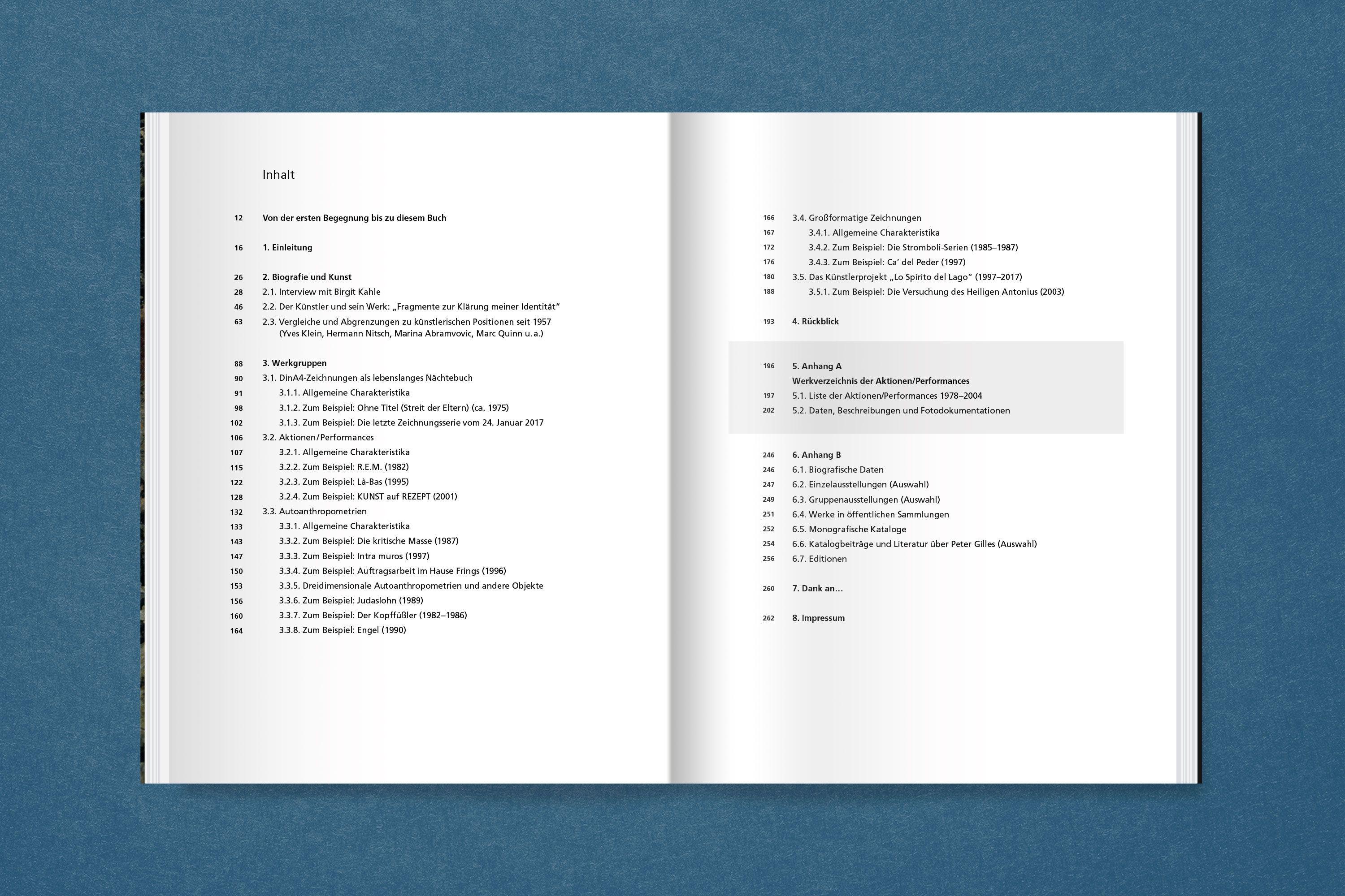 Beispielinhalt (Bild) Peter Gilles: Am Rande des Vulkans