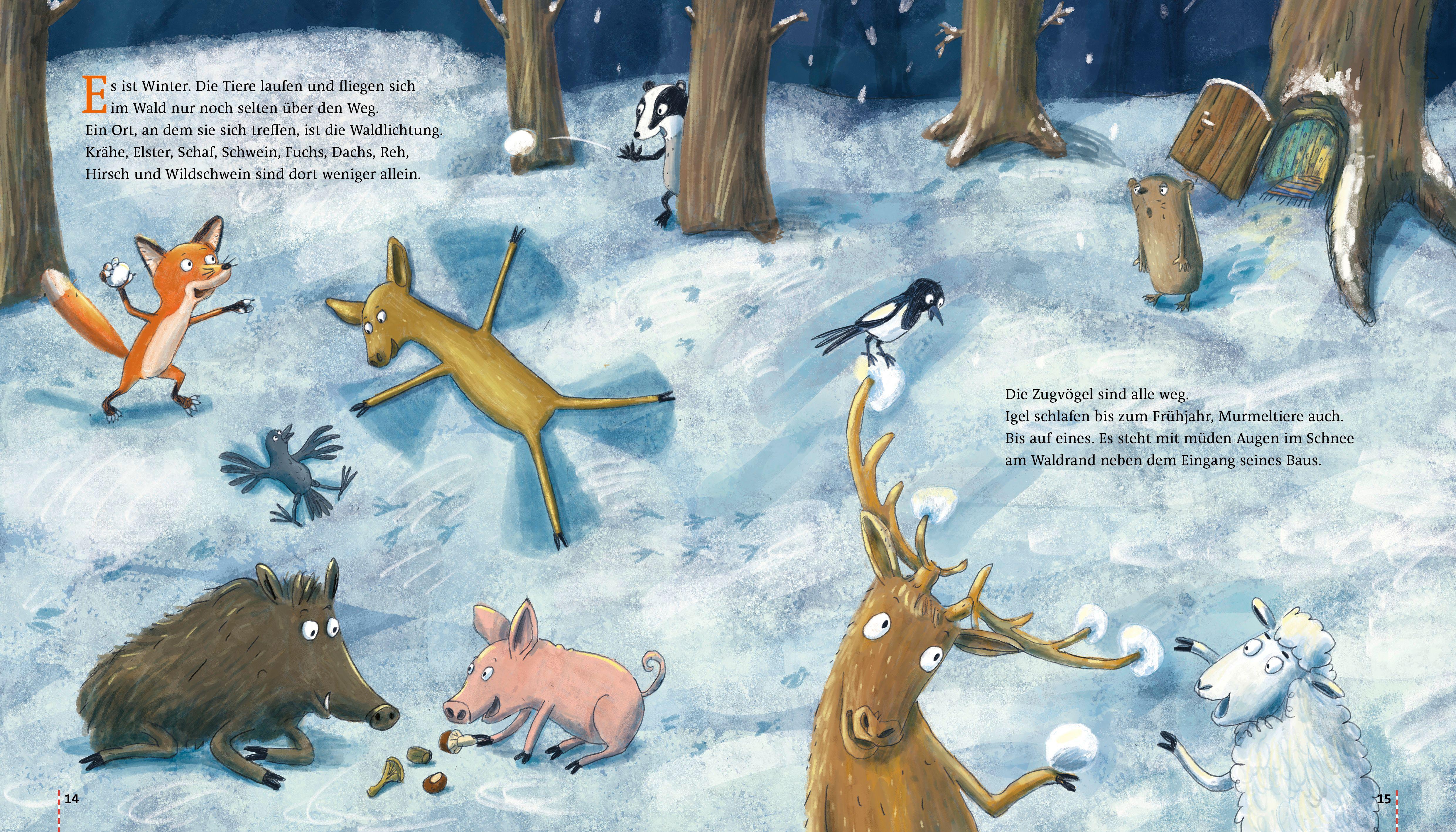 Beispielinhalt (Bild) Gecko Kinderzeitschrift Band 111