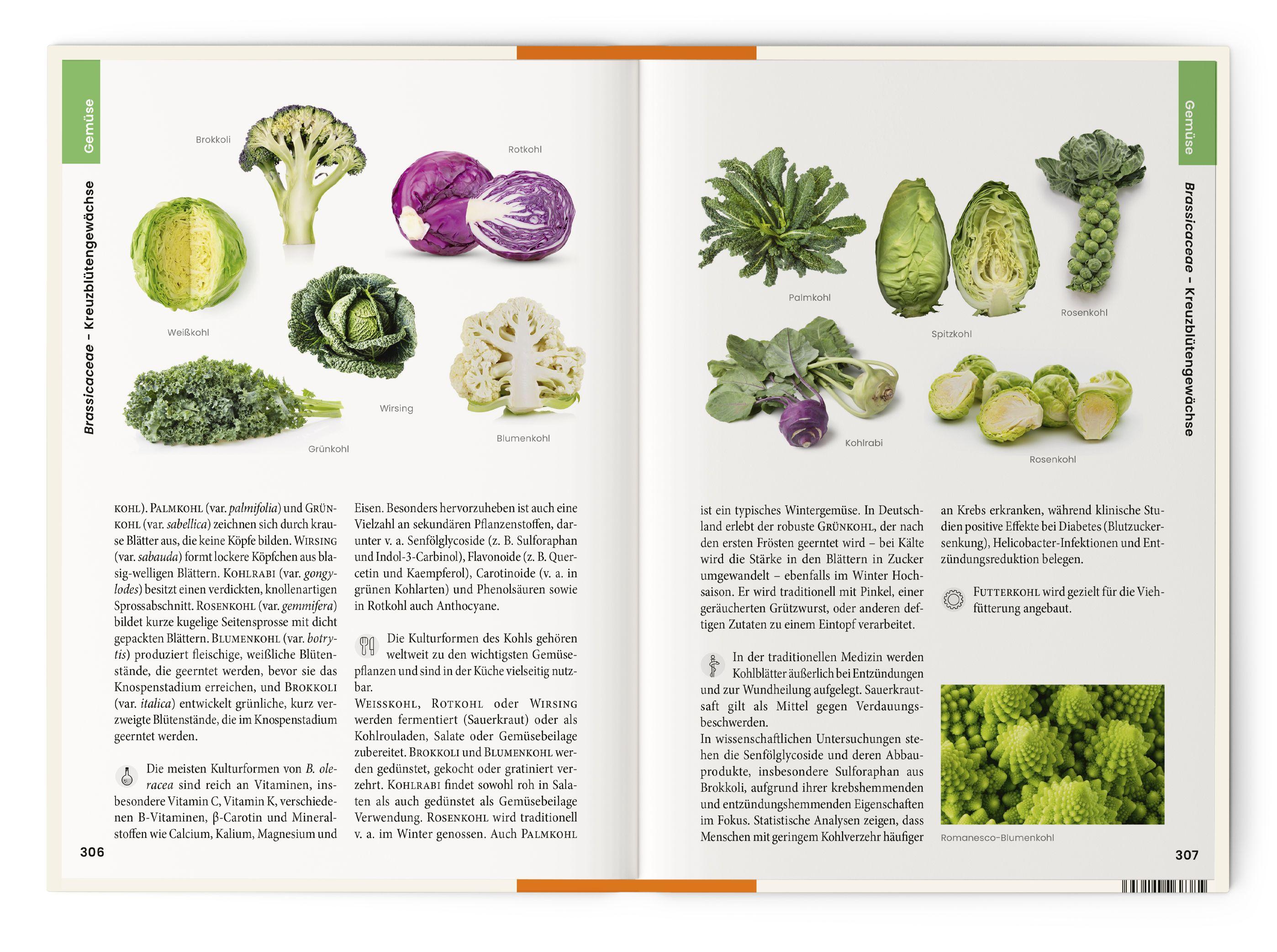 Beispielinhalt (Bild) Vorzugsausgabe Was wir essen