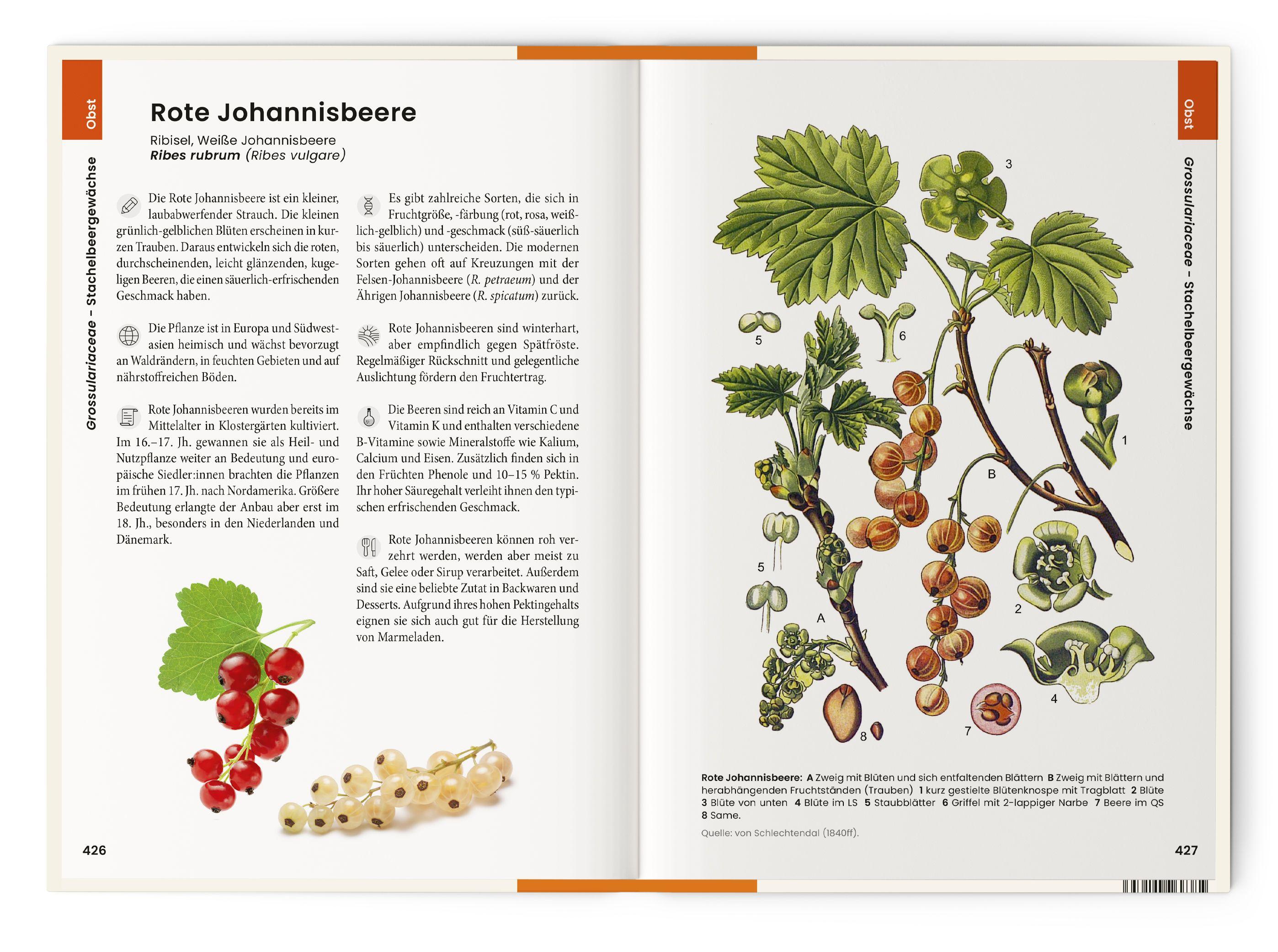 Beispielinhalt (Bild) Vorzugsausgabe Was wir essen