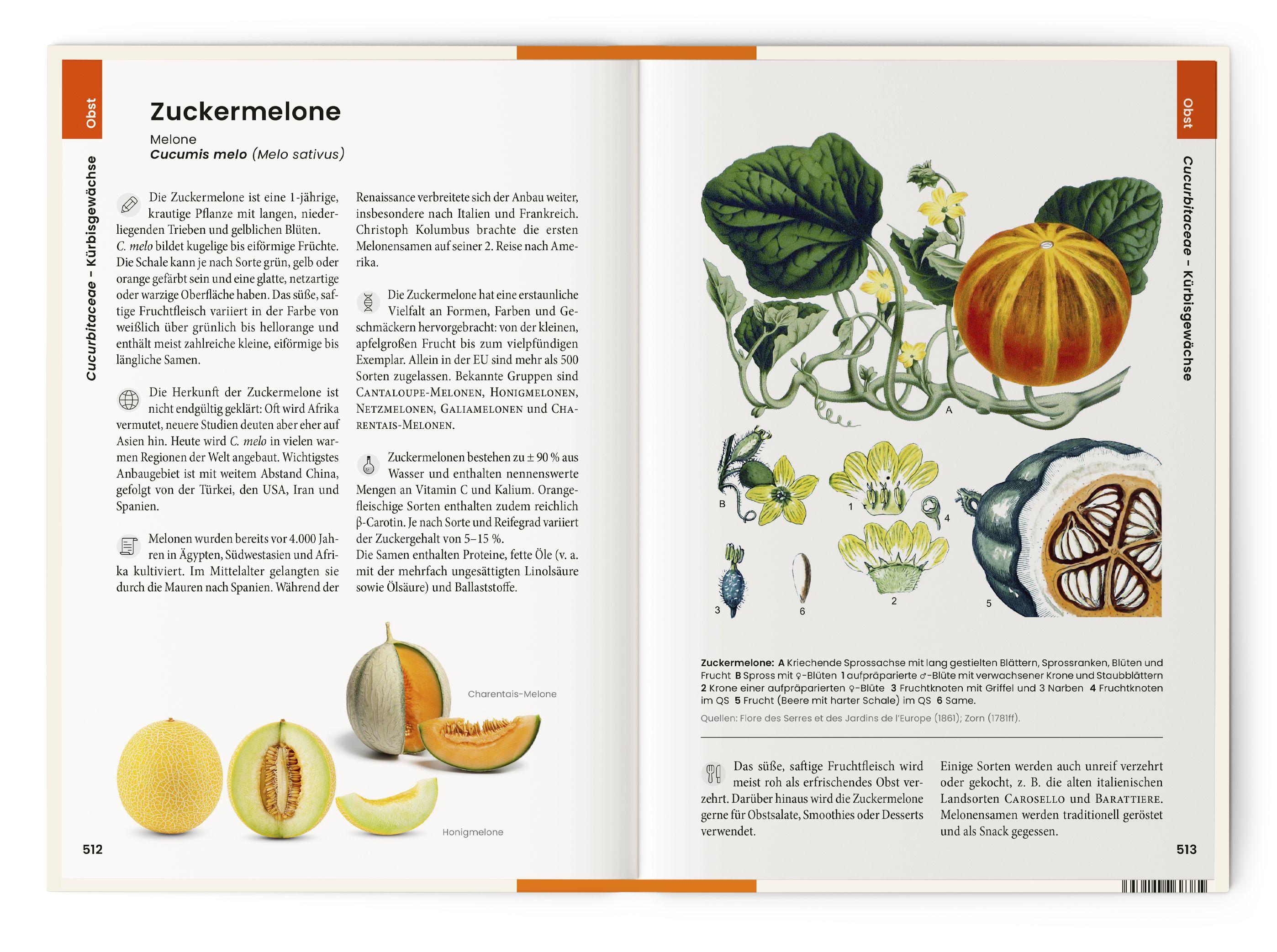 Beispielinhalt (Bild) Vorzugsausgabe Was wir essen