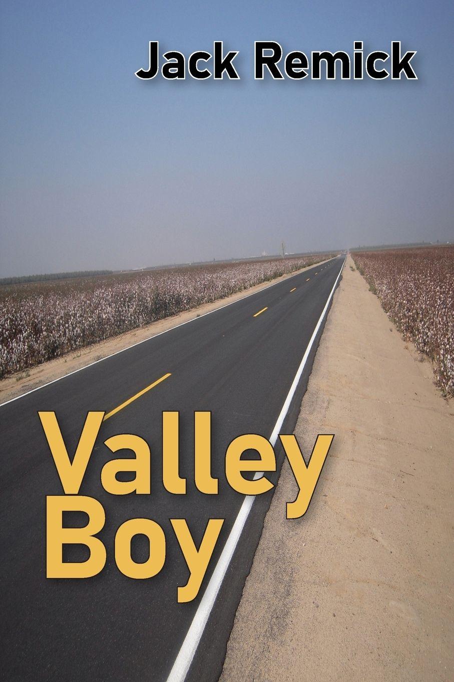 Vorderes Coverbild Valley Boy