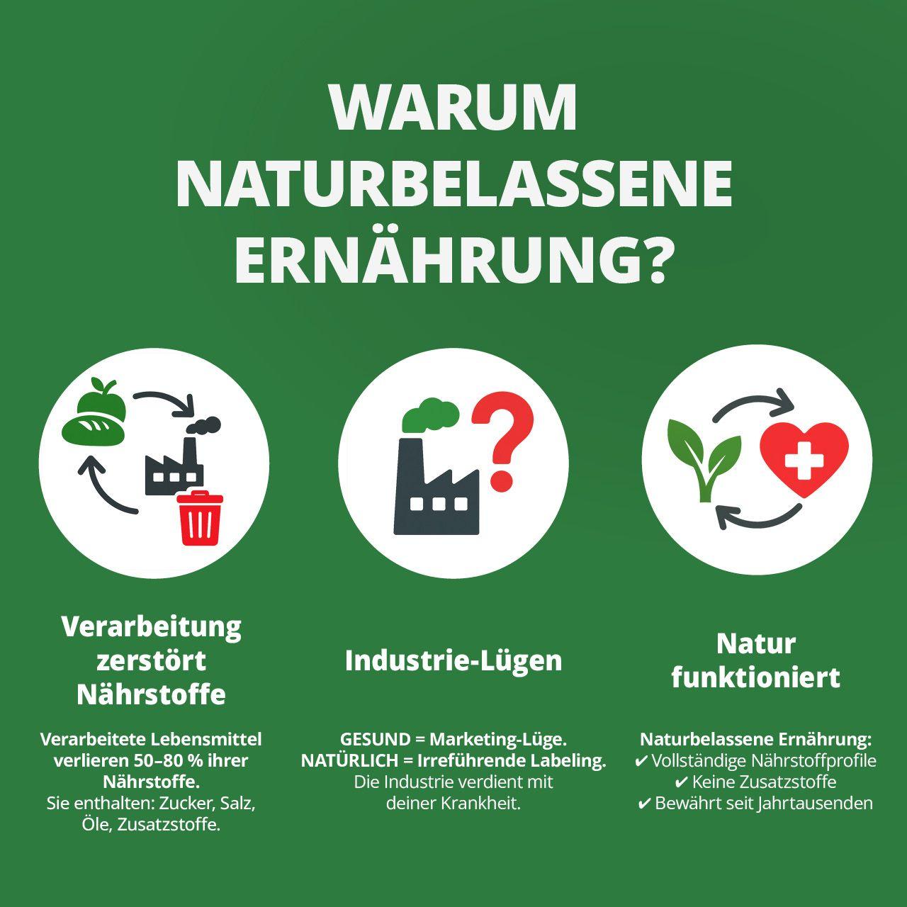 Beispielinhalt (Bild) Die Krankheitslügen - Was man macht, um nicht krank zu werden.