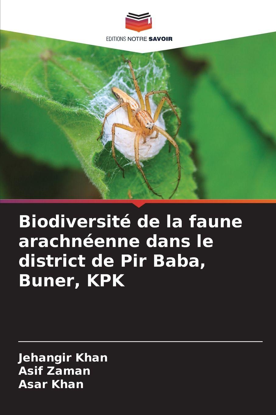 Vorderes Coverbild Biodiversité de la faune arachnéenne dans le district de Pir Baba, Buner, KPK