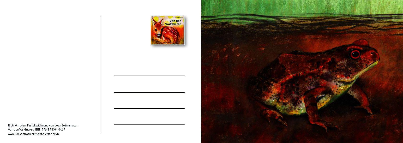 Beispielinhalt (Bild) Von den Waldtieren - Ein Postkartenbuch