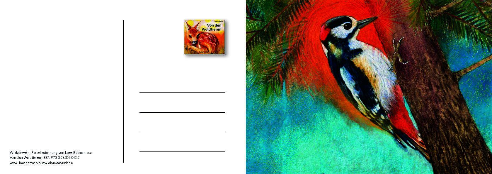 Beispielinhalt (Bild) Von den Waldtieren - Ein Postkartenbuch