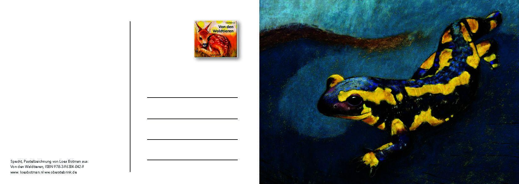 Beispielinhalt (Bild) Von den Waldtieren - Ein Postkartenbuch