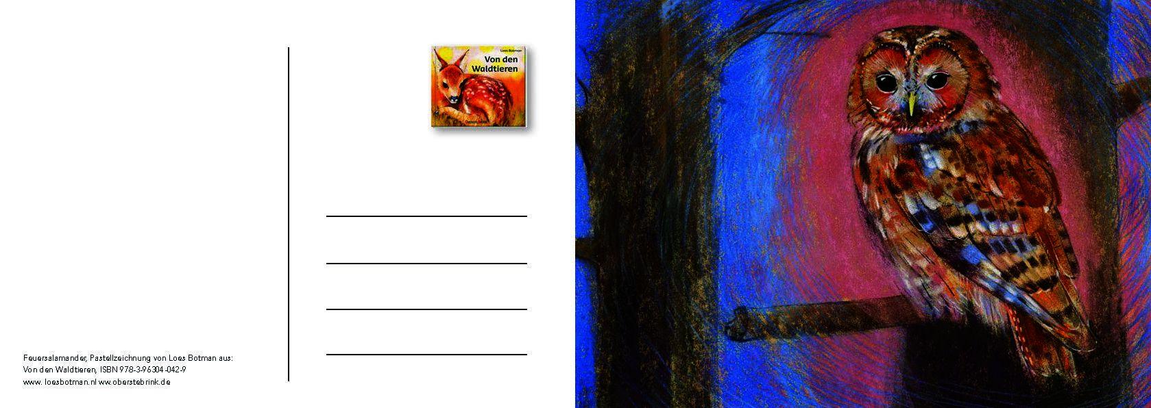 Beispielinhalt (Bild) Von den Waldtieren - Ein Postkartenbuch