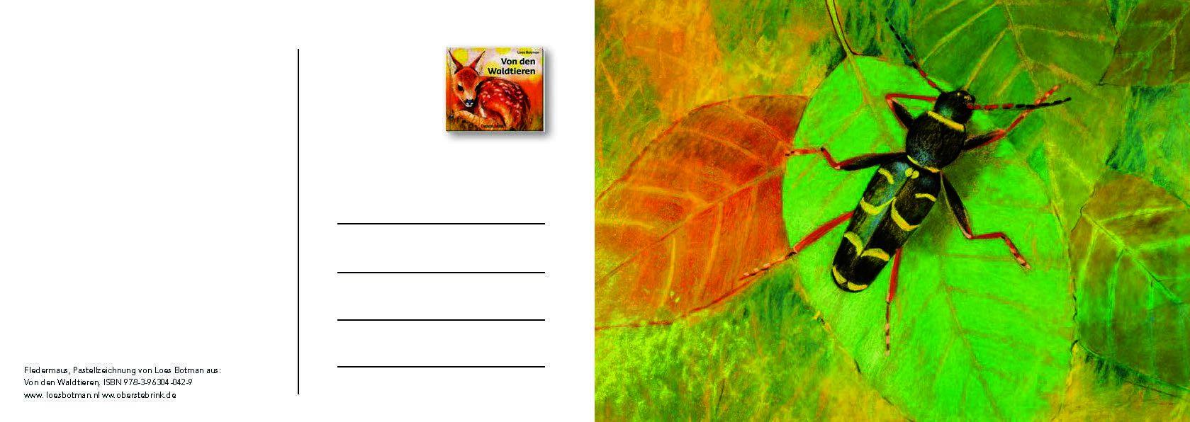 Beispielinhalt (Bild) Von den Waldtieren - Ein Postkartenbuch