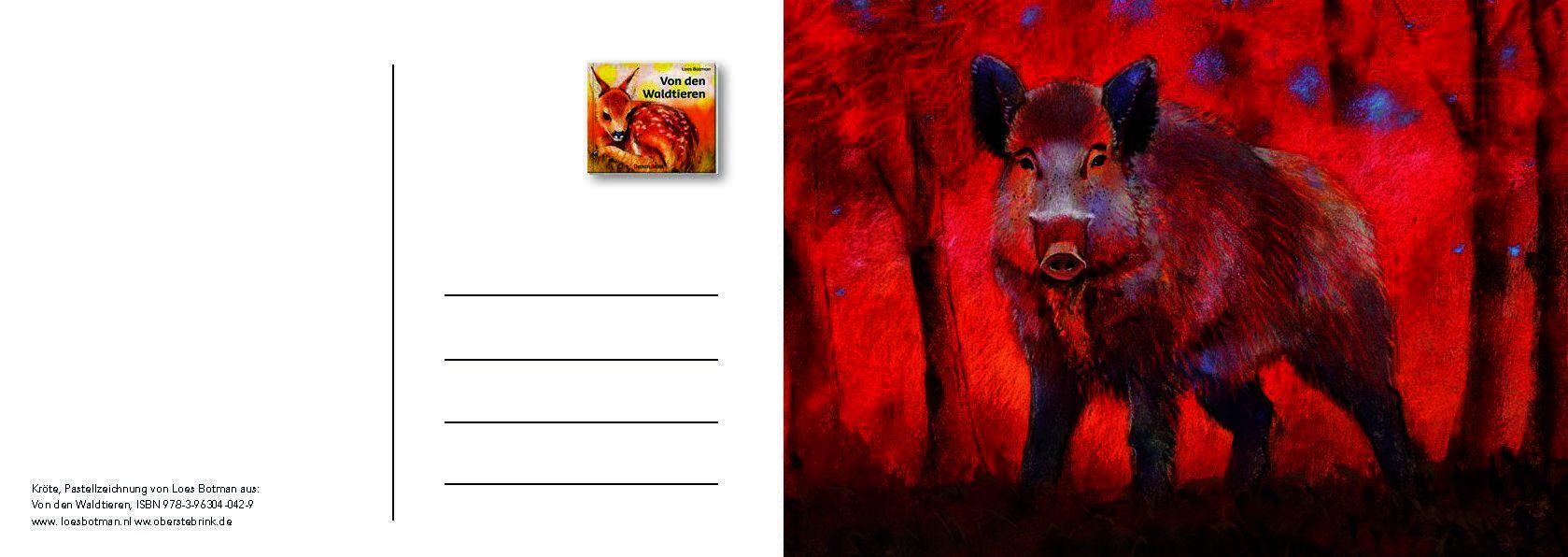 Beispielinhalt (Bild) Von den Waldtieren - Ein Postkartenbuch