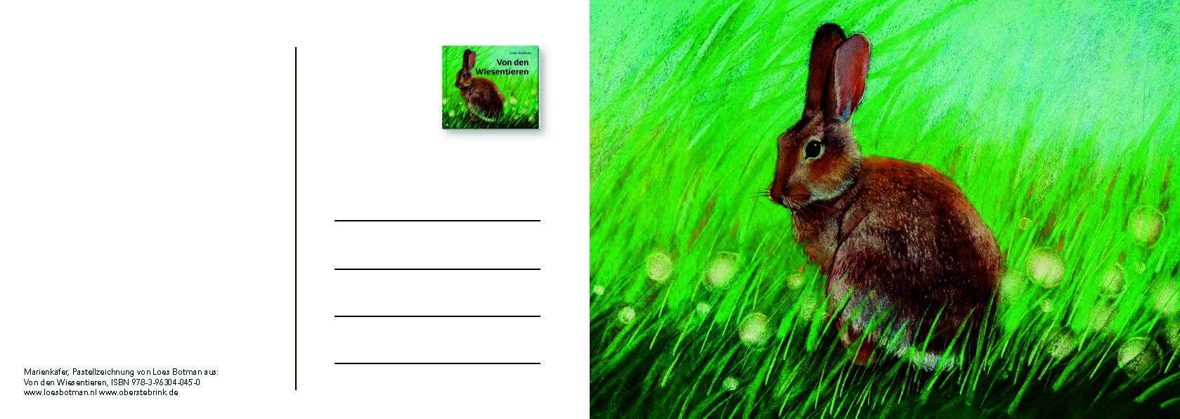 Beispielinhalt (Bild) Von den Wiesentieren - Ein Postkartenbuch