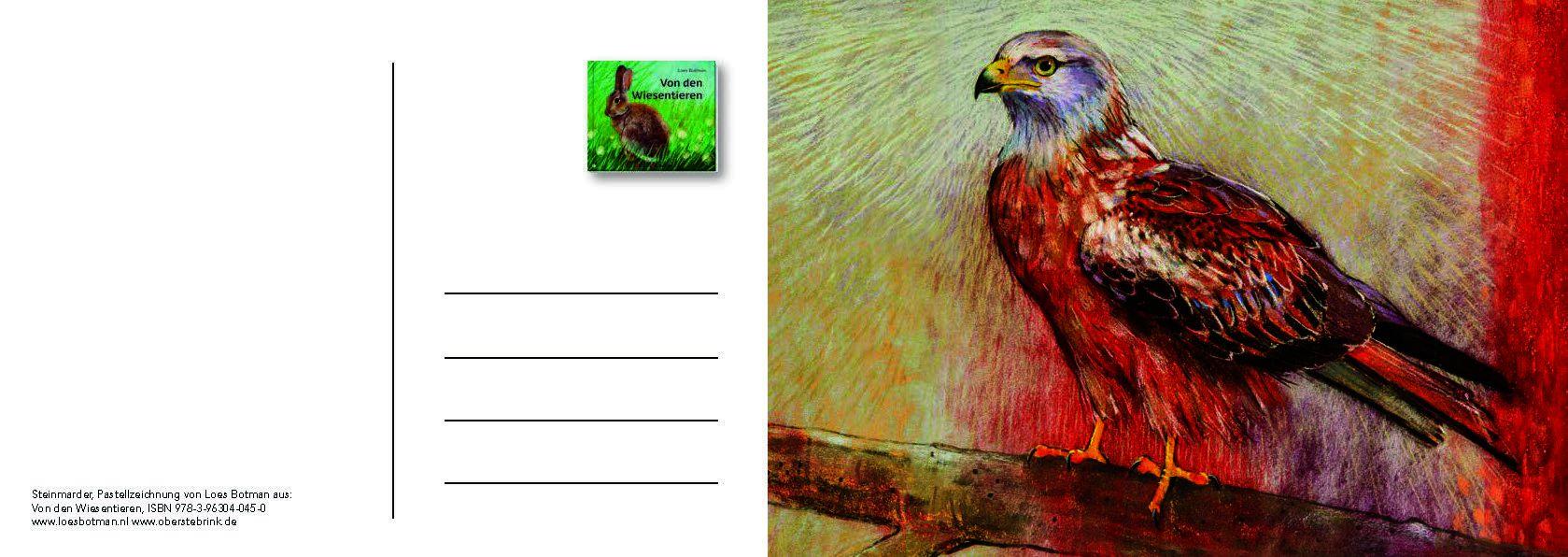 Beispielinhalt (Bild) Von den Wiesentieren - Ein Postkartenbuch