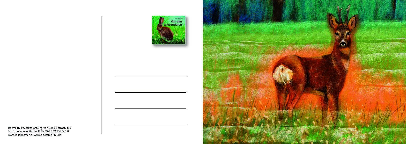 Beispielinhalt (Bild) Von den Wiesentieren - Ein Postkartenbuch