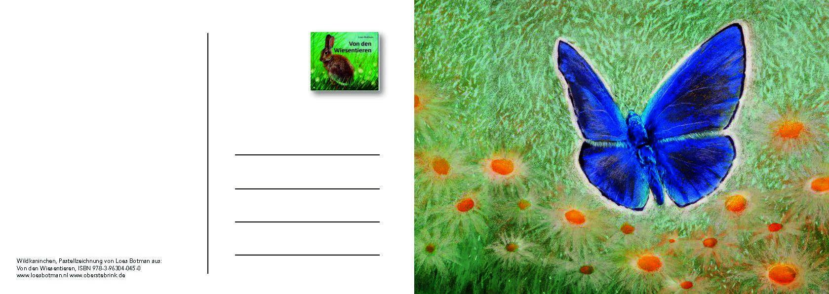 Beispielinhalt (Bild) Von den Wiesentieren - Ein Postkartenbuch