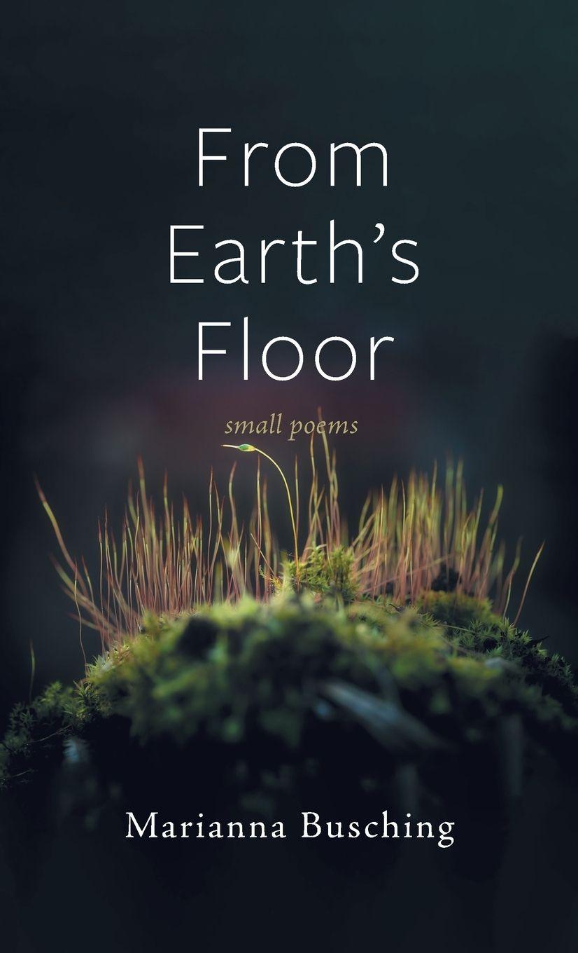 Vorderes Coverbild From Earth's Floor
