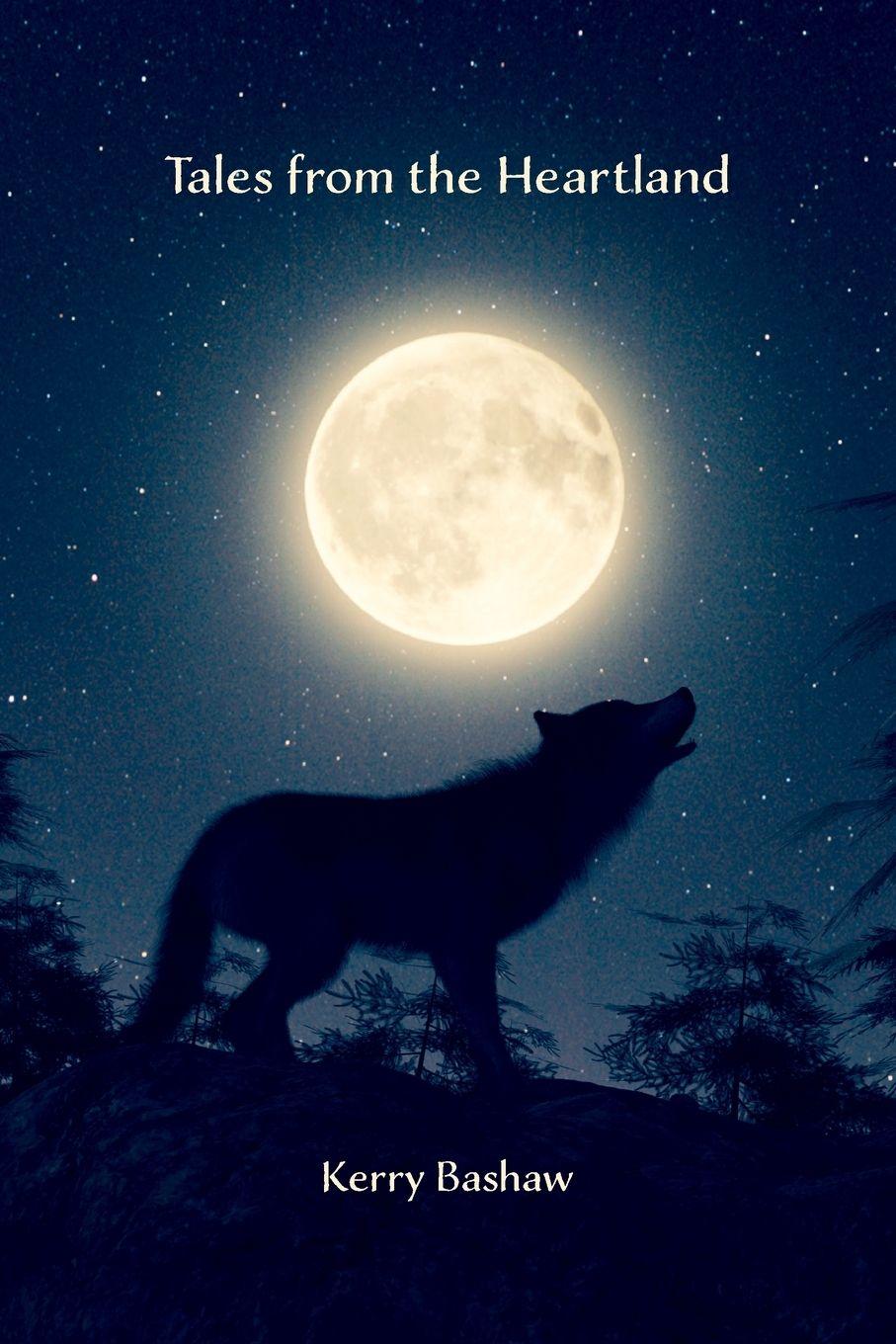 Vorderes Coverbild Tales from the Heartland