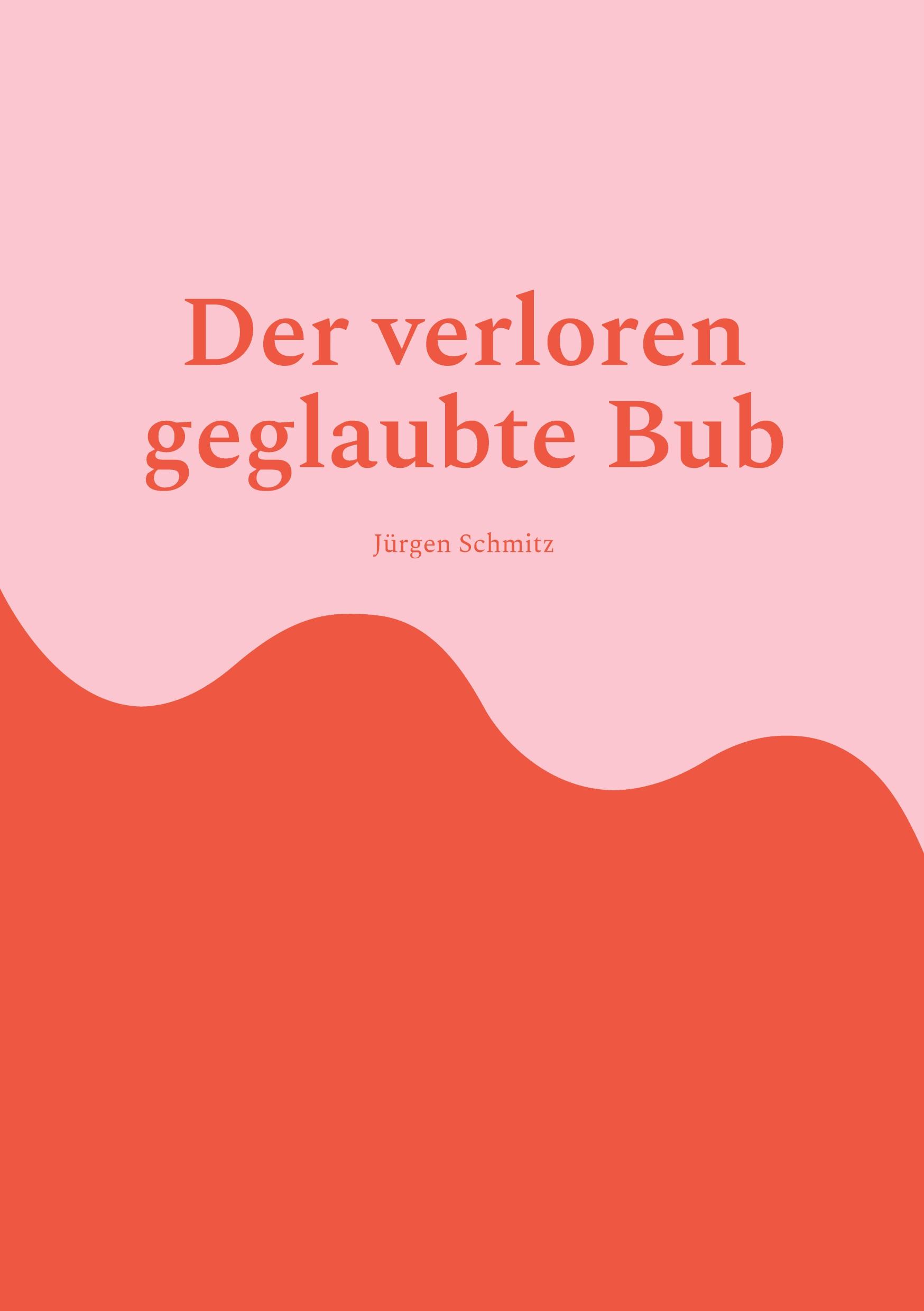 Vorderes Coverbild Der verlorene geglaubte Bub