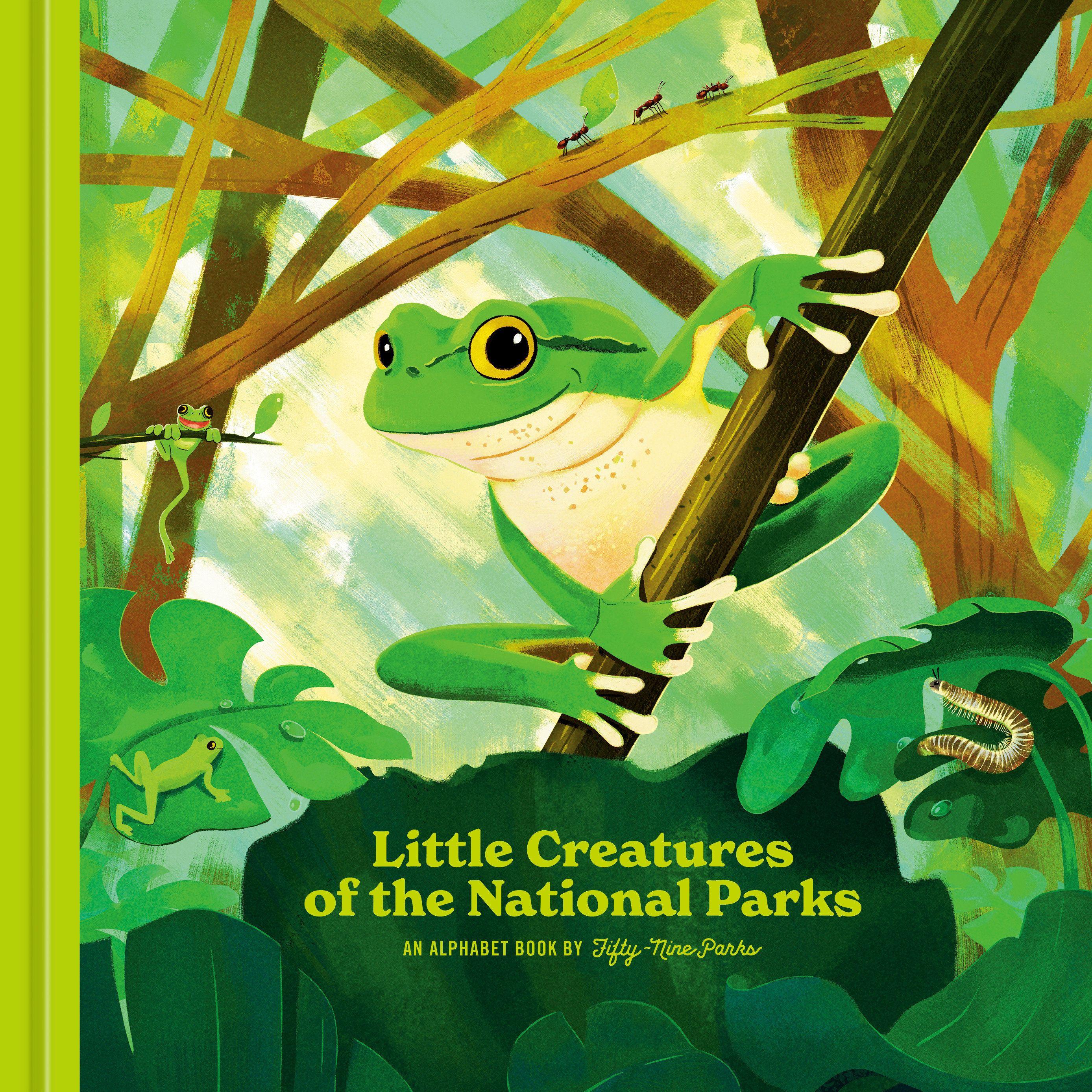 Vorderes Coverbild Little Creatures of the National Parks