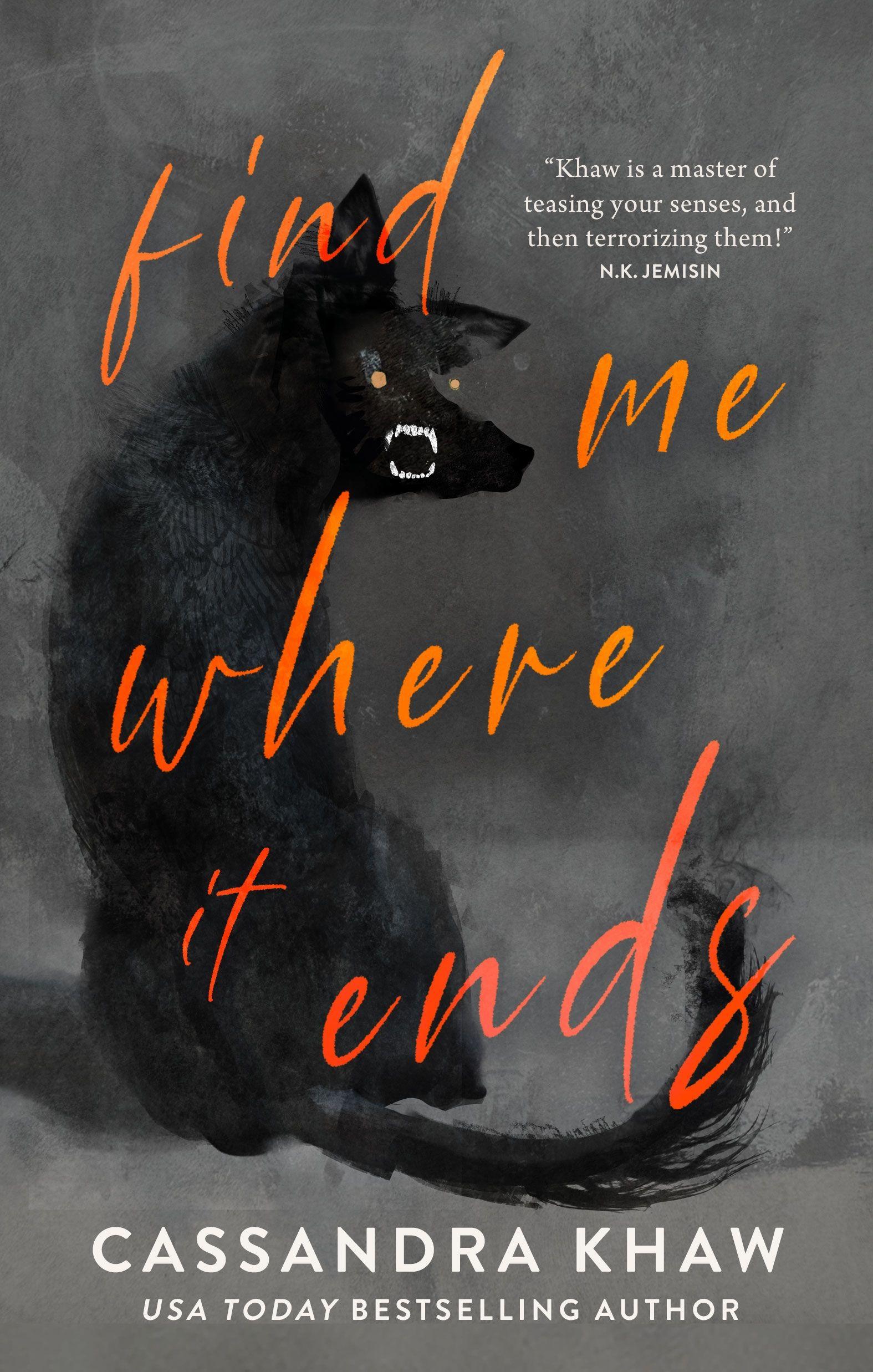 Vorderes Coverbild Find Me Where It Ends