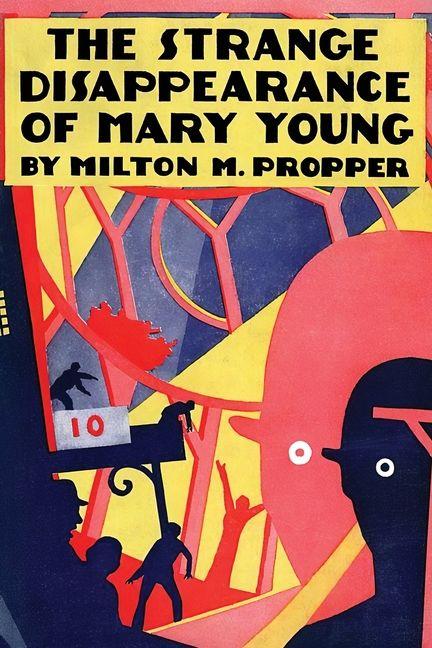 Vorderes Coverbild The Strange Disappearance of Mary Young