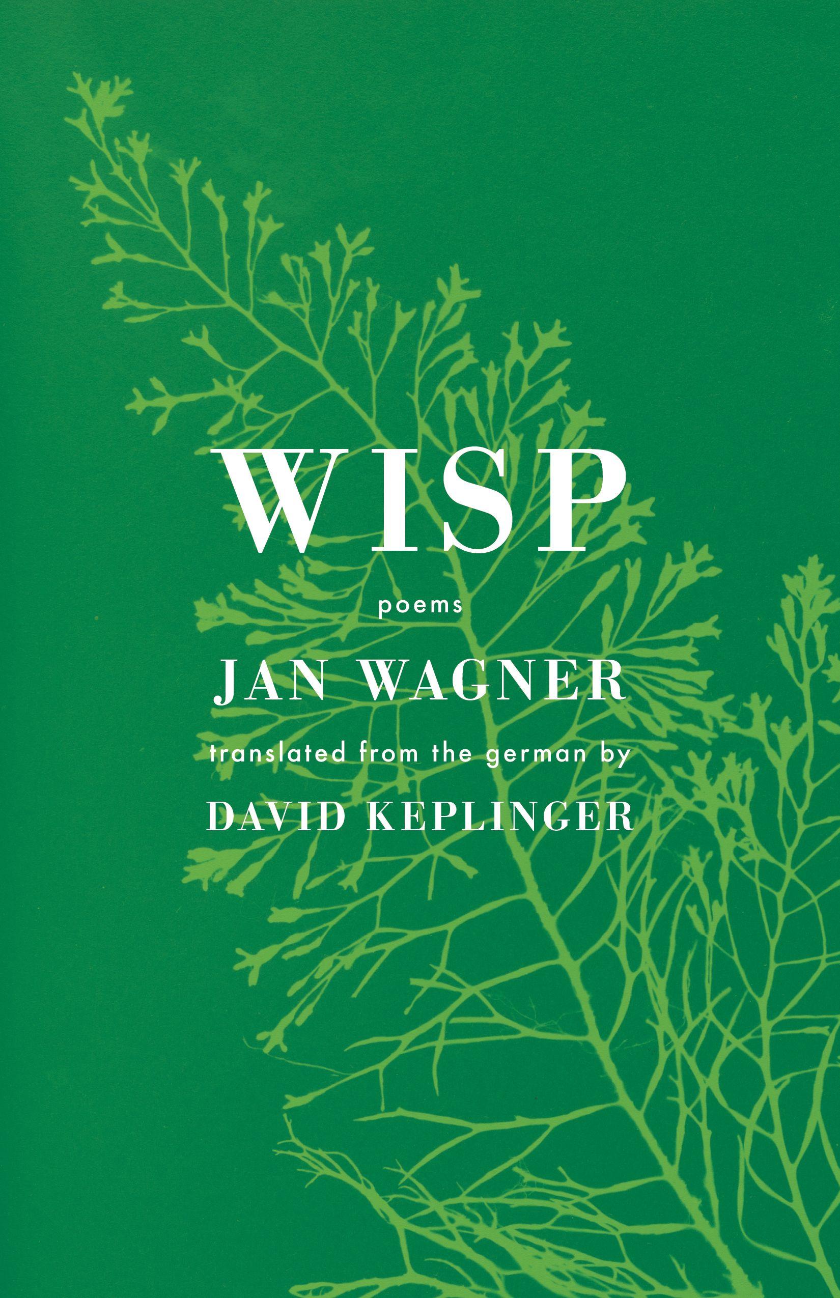 Vorderes Coverbild Wisp