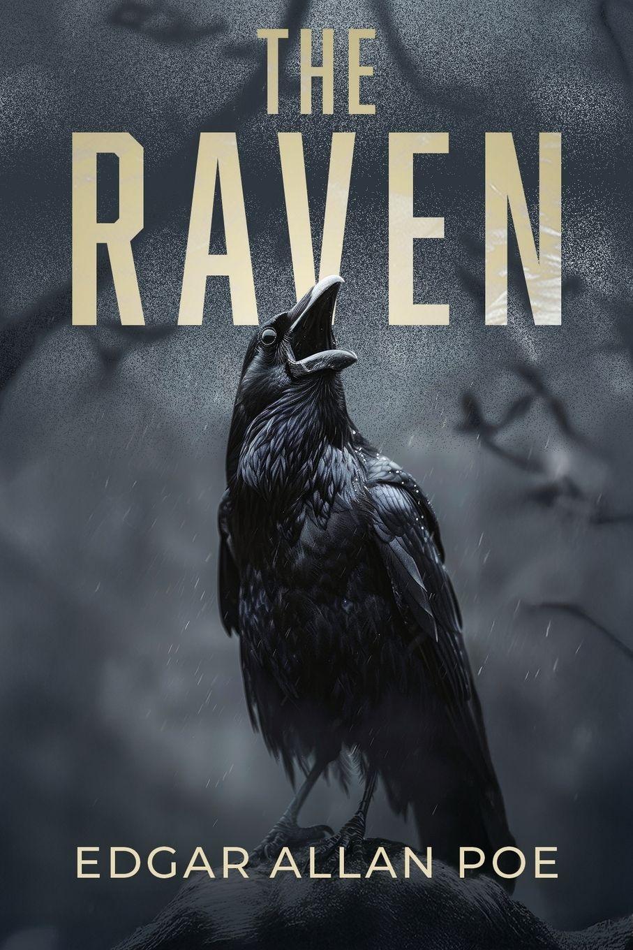 Vorderes Coverbild The Raven