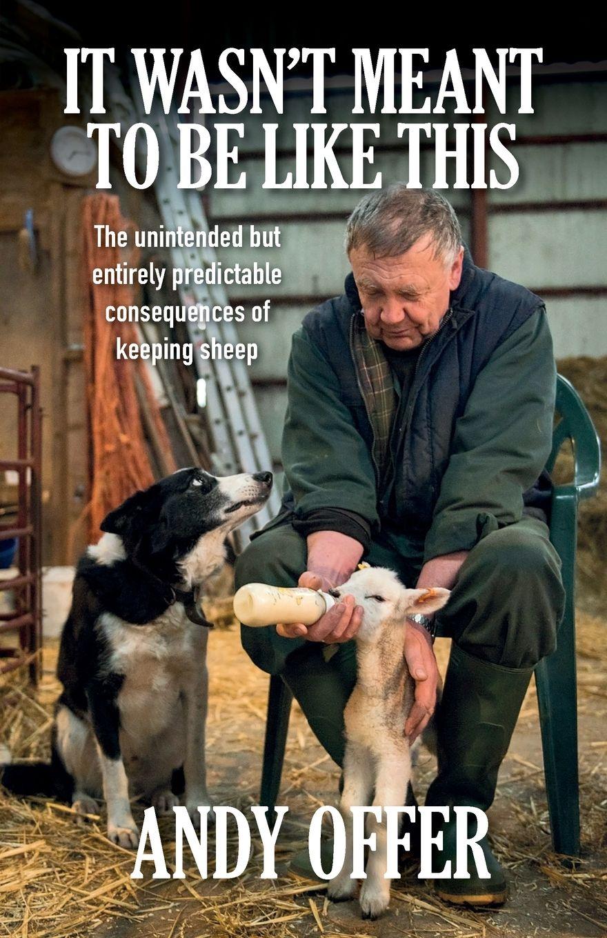 Vorderes Coverbild It Wasn't Meant To Be Like This