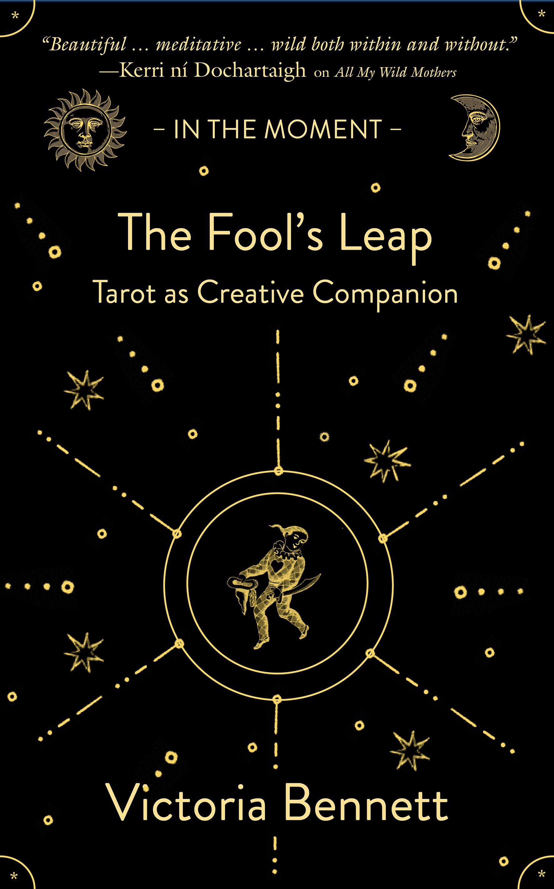 Vorderes Coverbild The Fool's Leap
