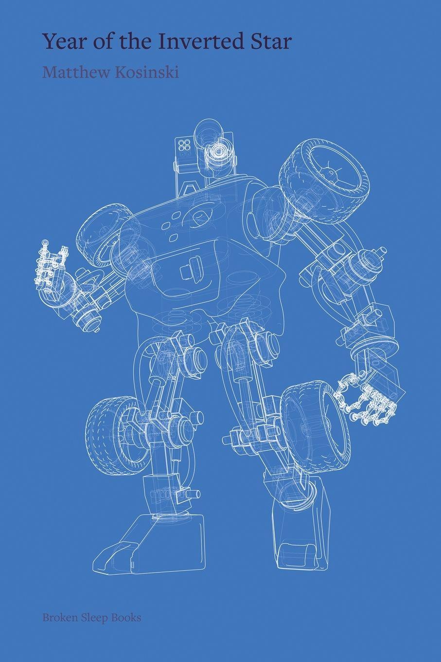 Vorderes Coverbild Year of the Inverted Star