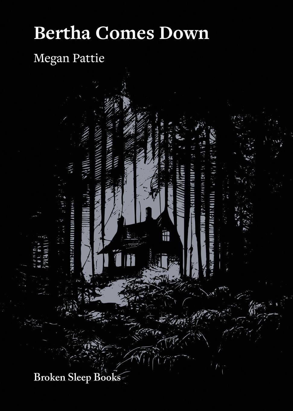 Vorderes Coverbild Bertha Comes Down