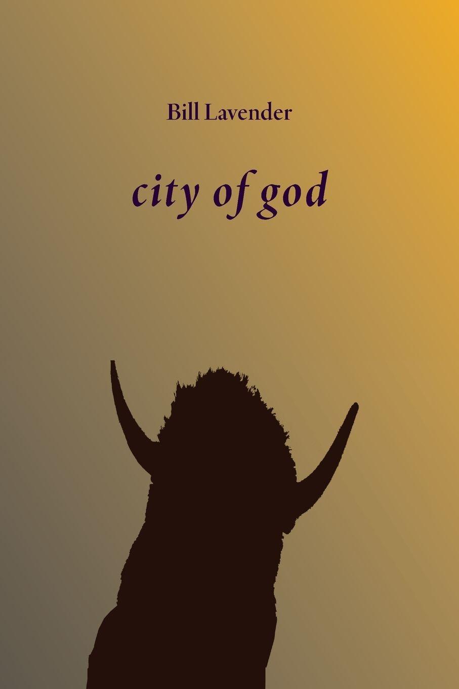 Vorderes Coverbild city of god