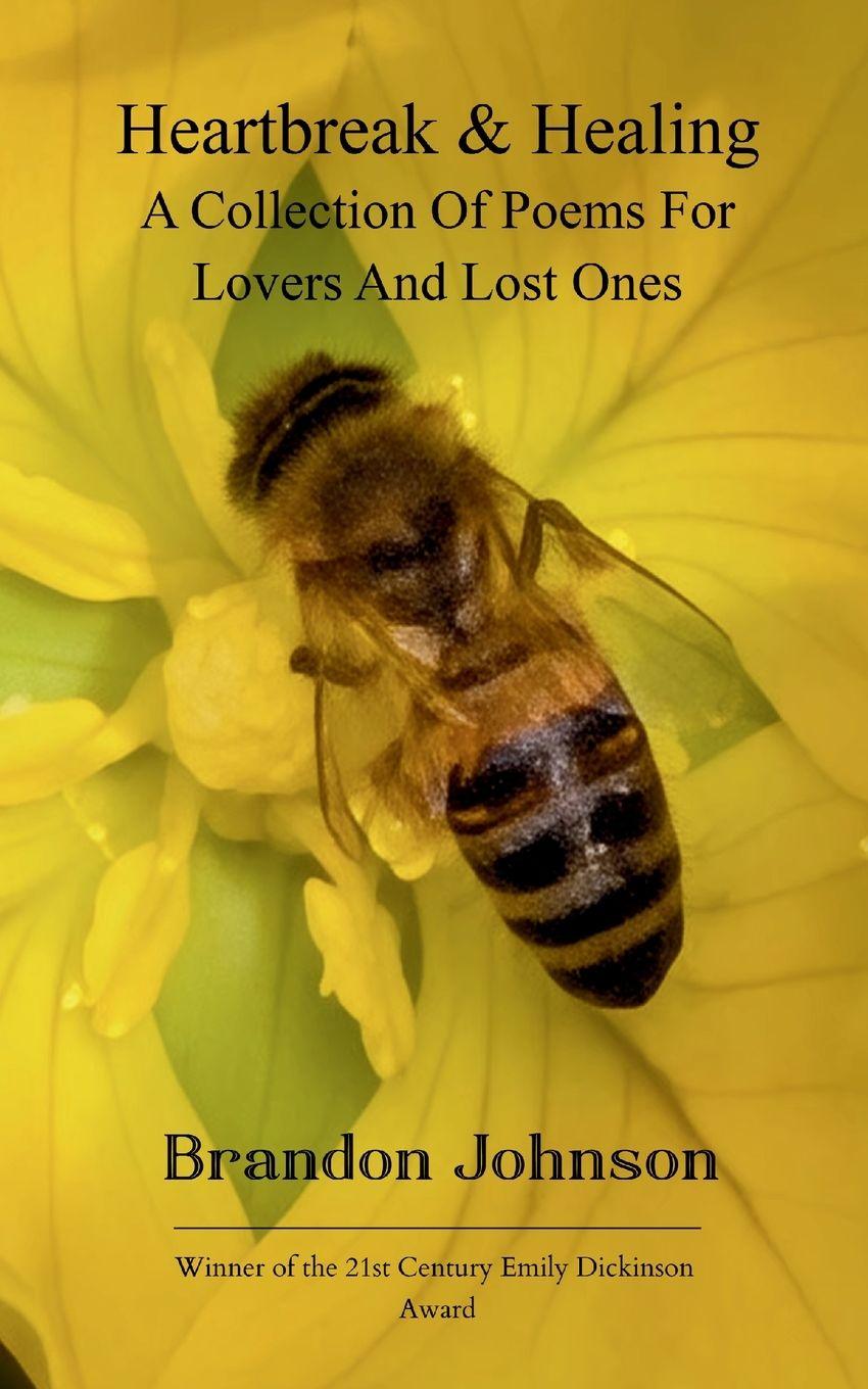 Vorderes Coverbild Heartbreak & Healing