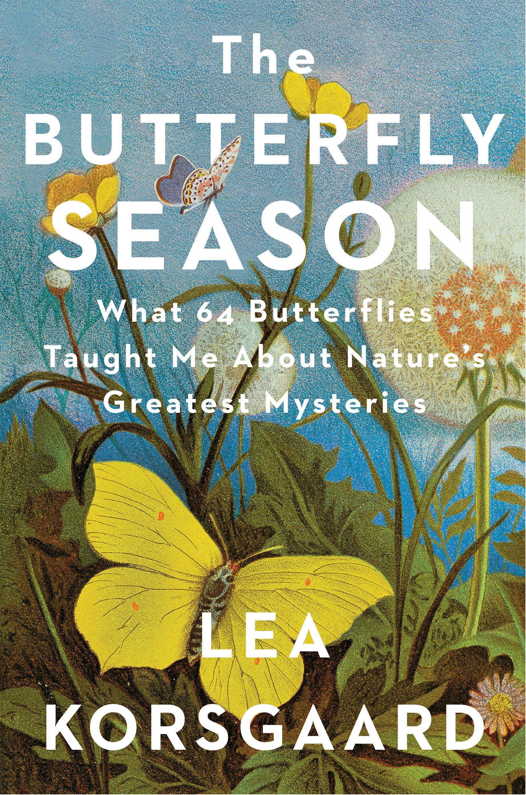 Vorderes Coverbild The Butterfly Season