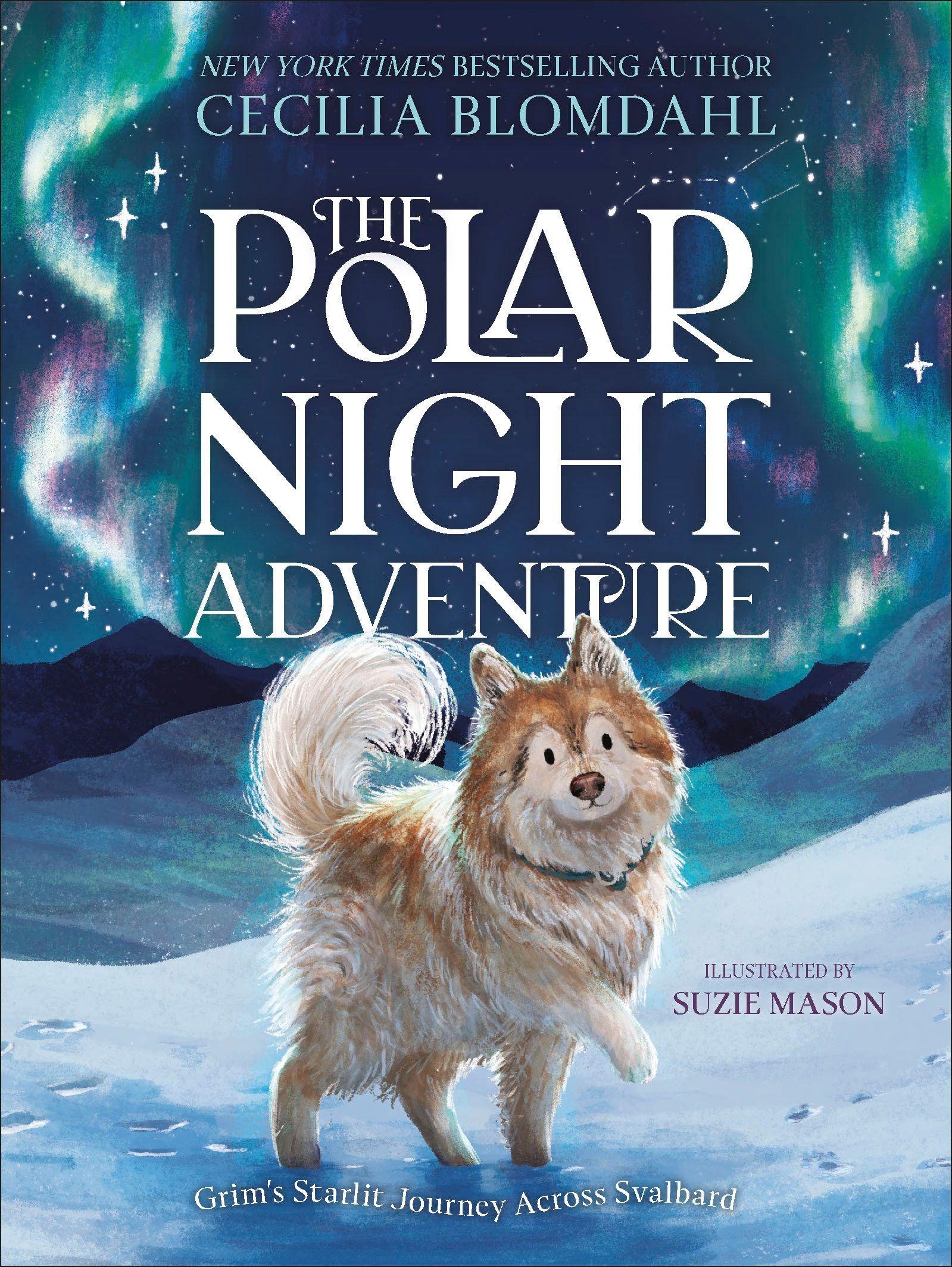 Vorderes Coverbild The Polar Night Adventure