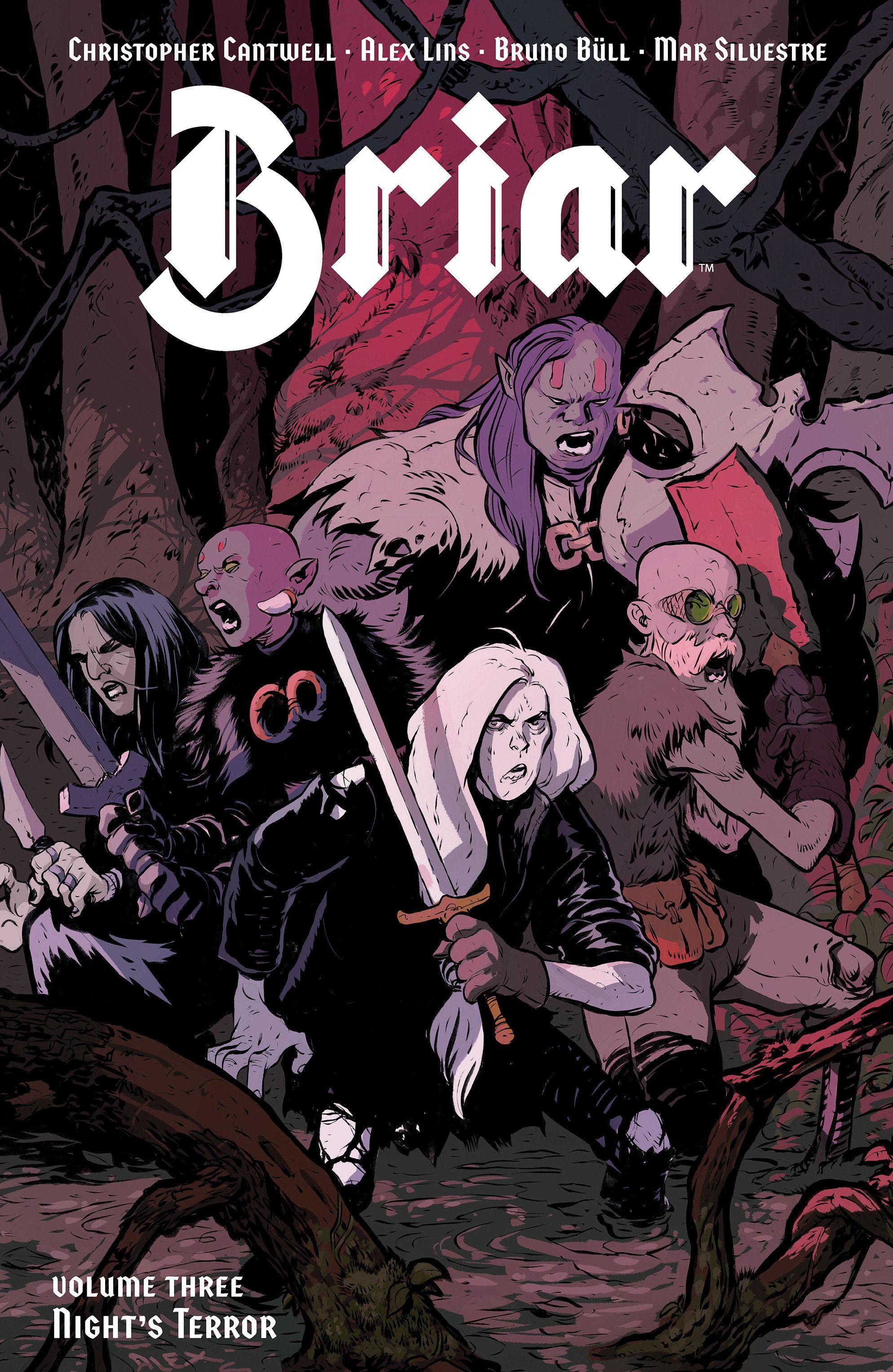 Vorderes Coverbild Briar Vol. 3