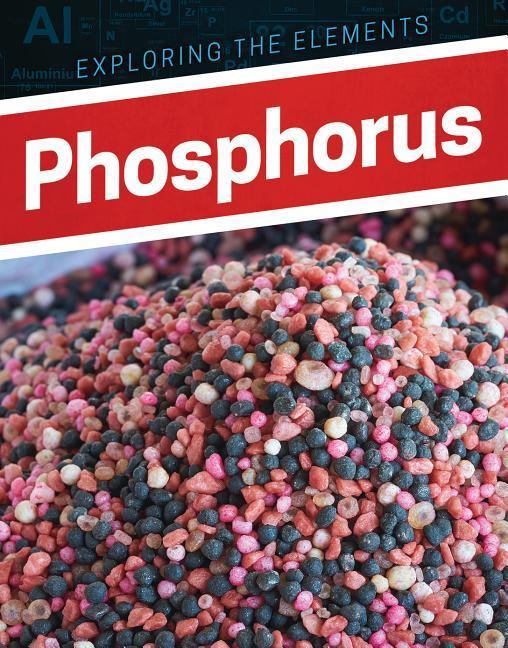 Vorderes Coverbild Phosphorus