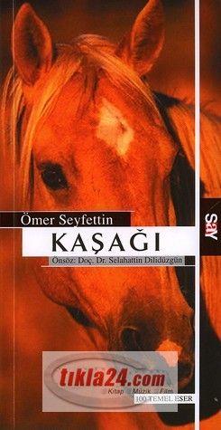 Vorderes Coverbild Kasagi