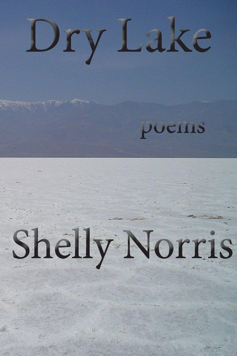 Vorderes Coverbild Dry Lake