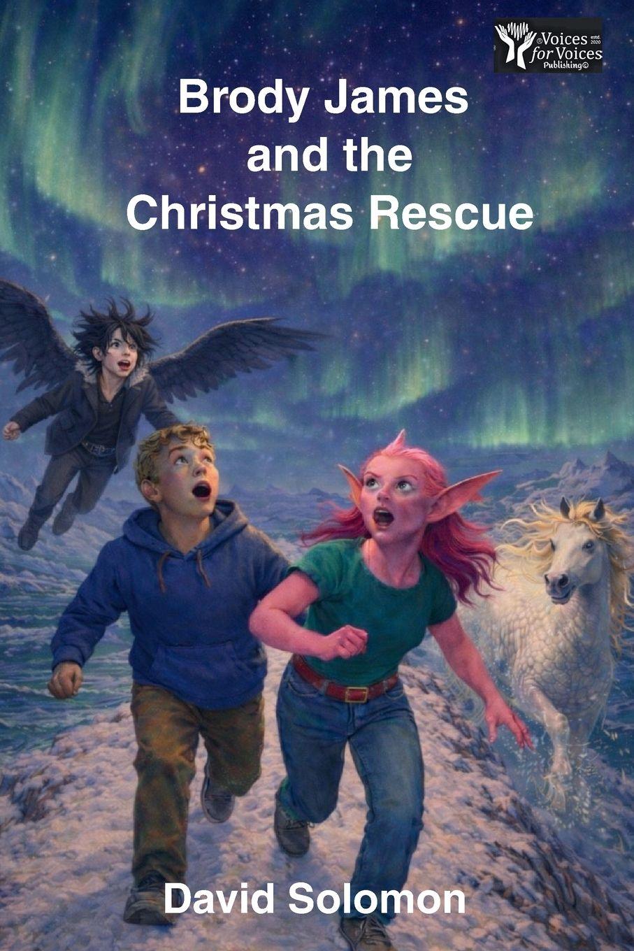 Vorderes Coverbild Brody James and the Christmas Rescue