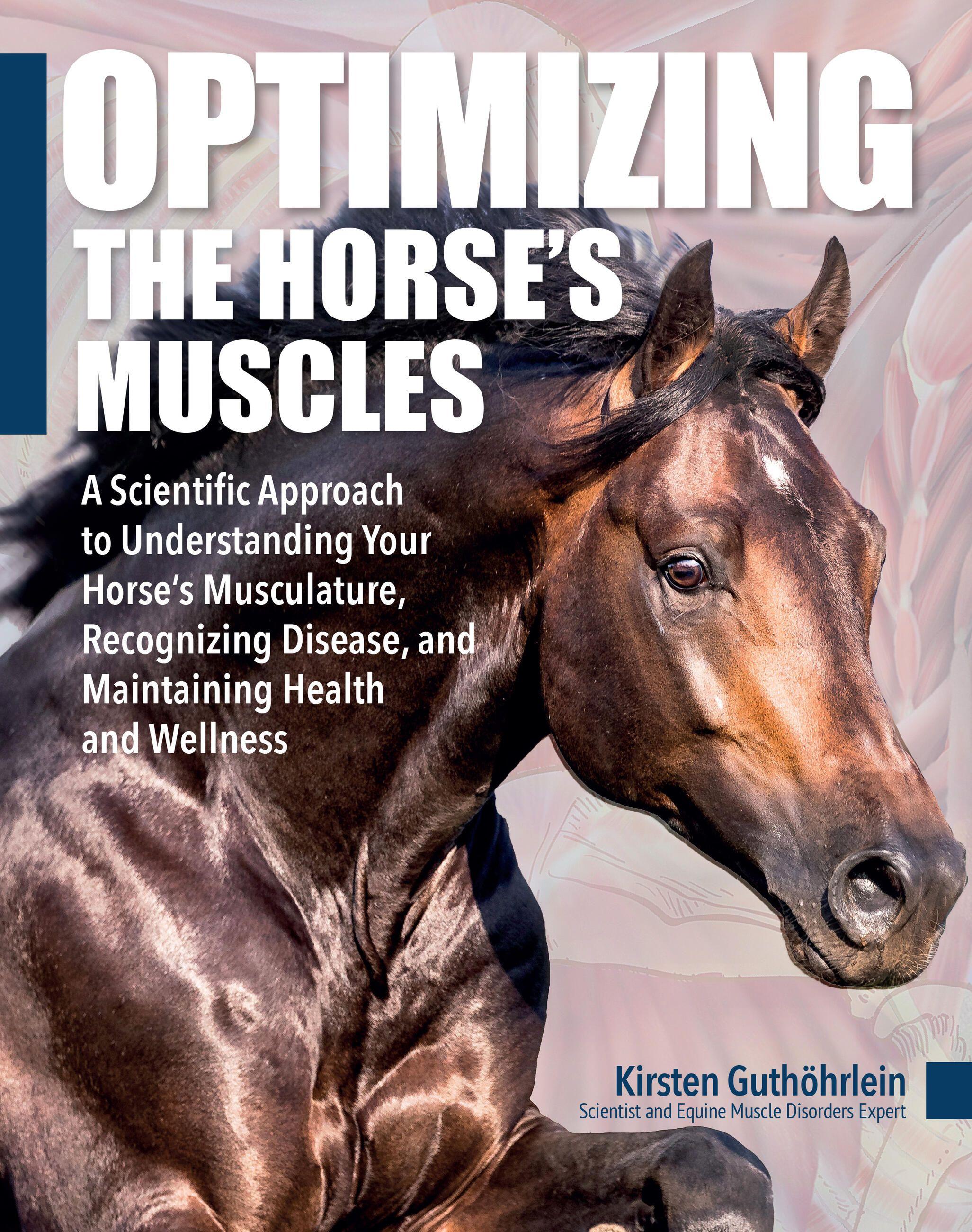 Vorderes Coverbild Optimizing the Horse's Muscles