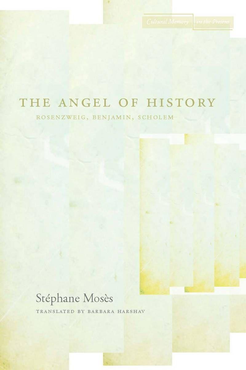 Vorderes Coverbild The Angel of History