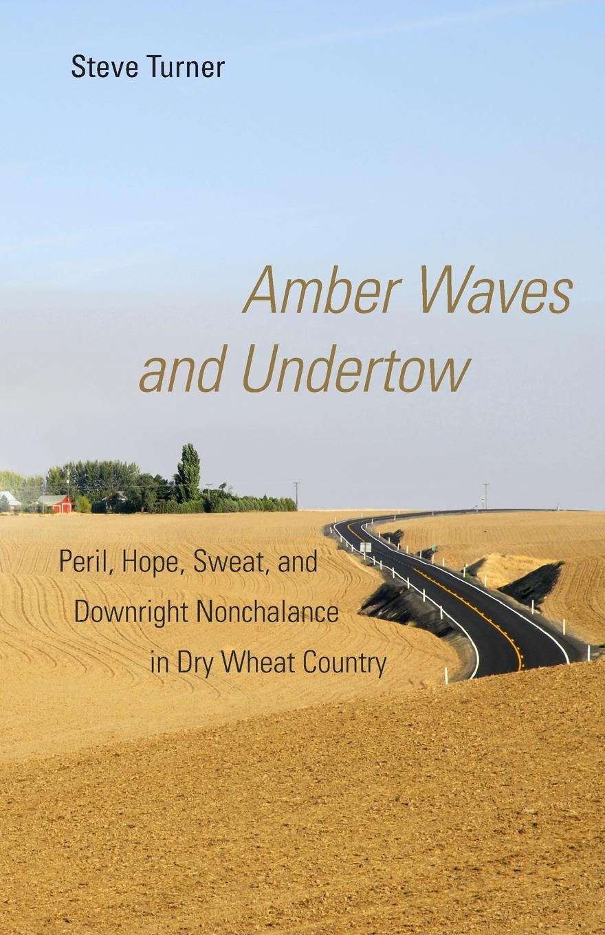Vorderes Coverbild Amber Waves and Undertow